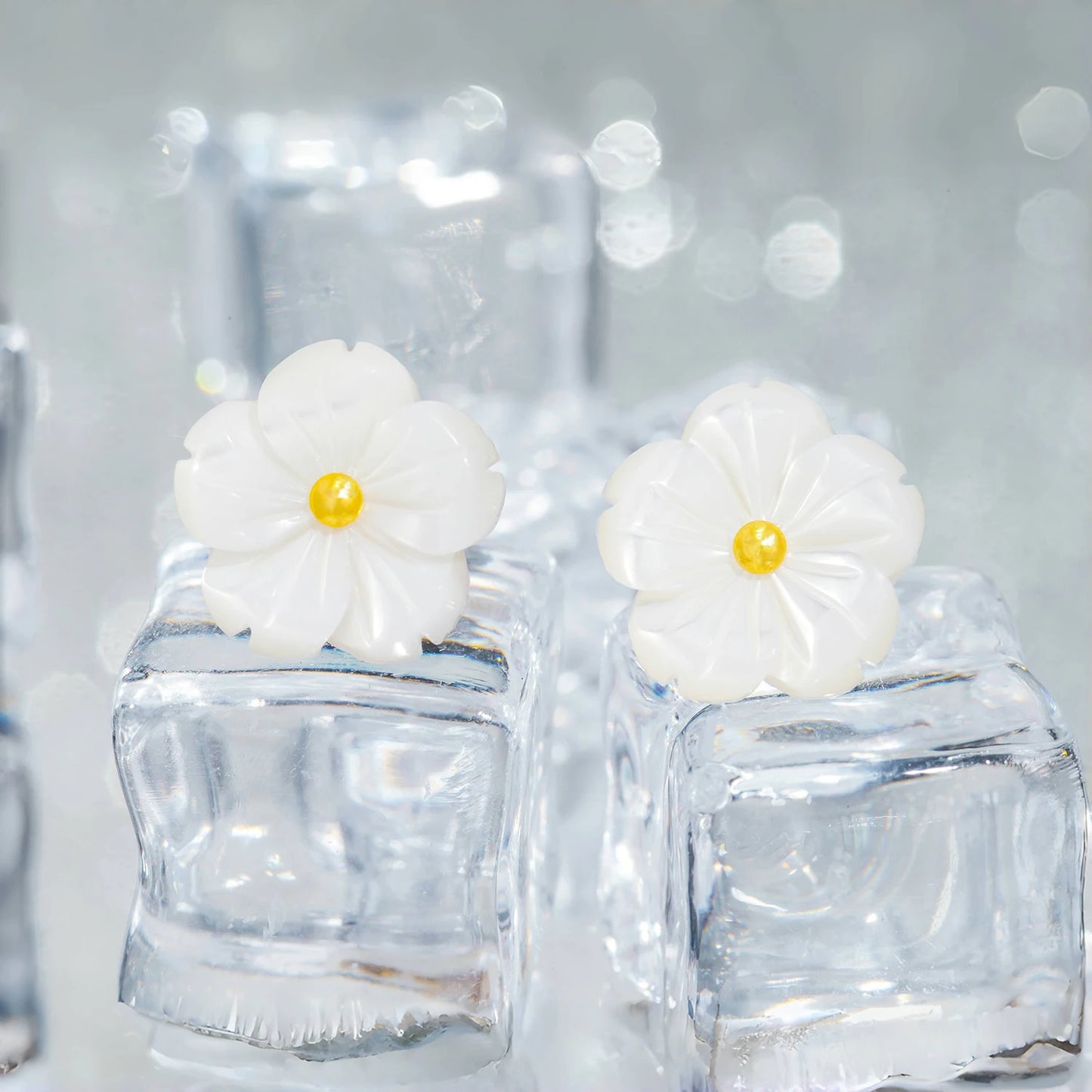 Elegant Shell Flower Earrings 🌸